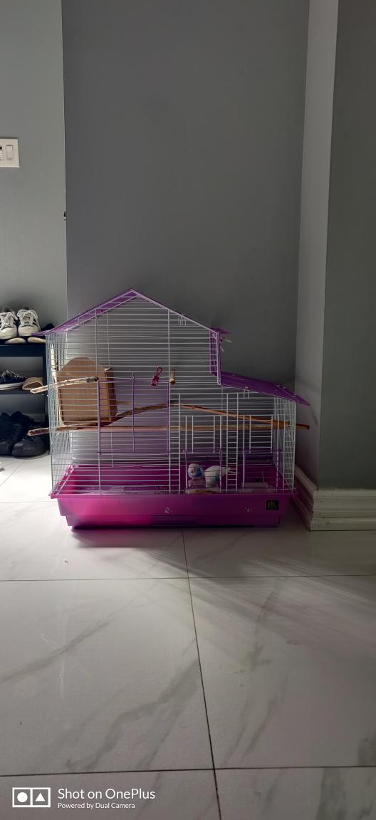 Bird cage thumbnail