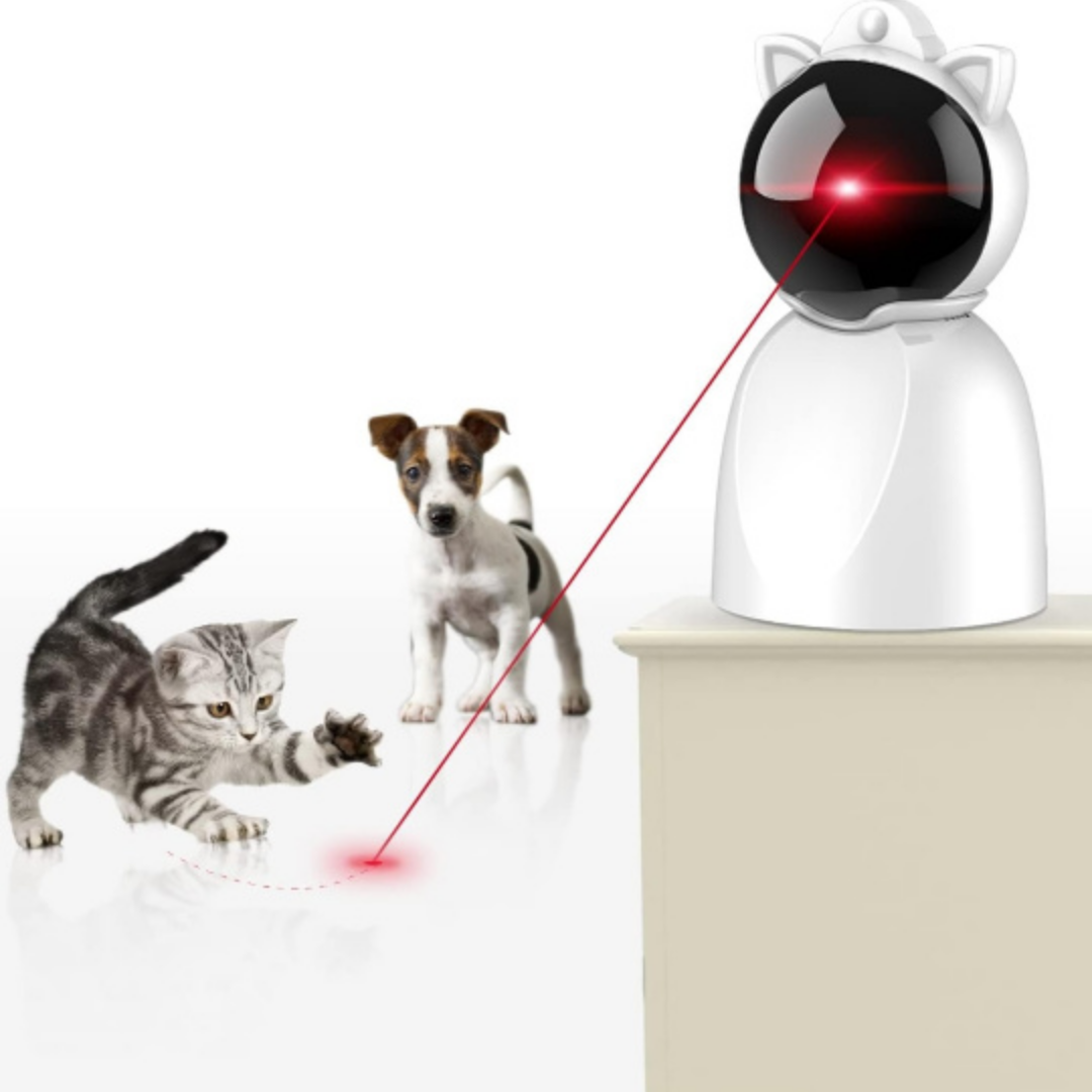 laser cat toy thumbnail