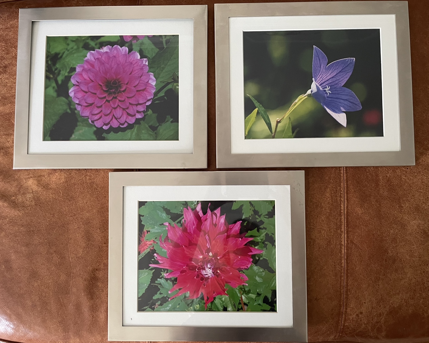 Frames, Silver with Mat, Original Photography thumbnail