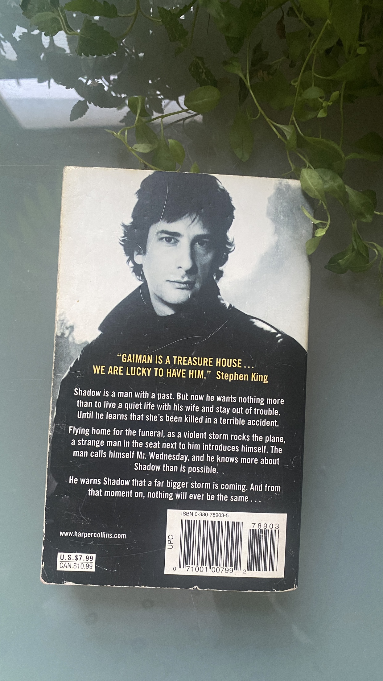 Book: American Gods - Neil Gaiman - photo 3