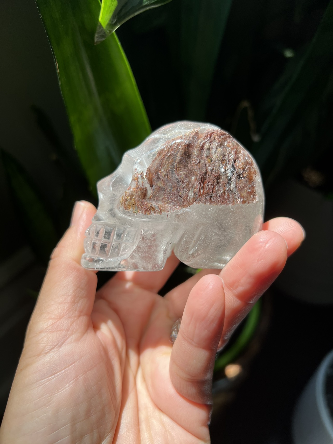 Garden quartz skull carving (J) | crystal image indicator(2)