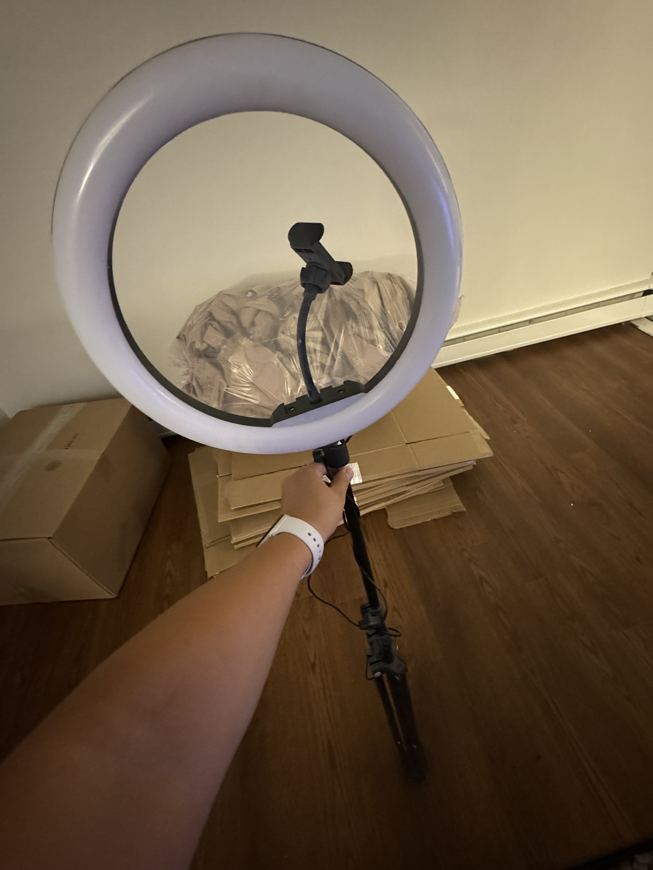 Ring light