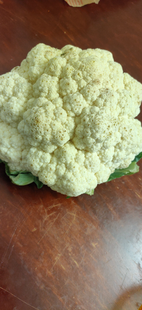 Food - photo 2