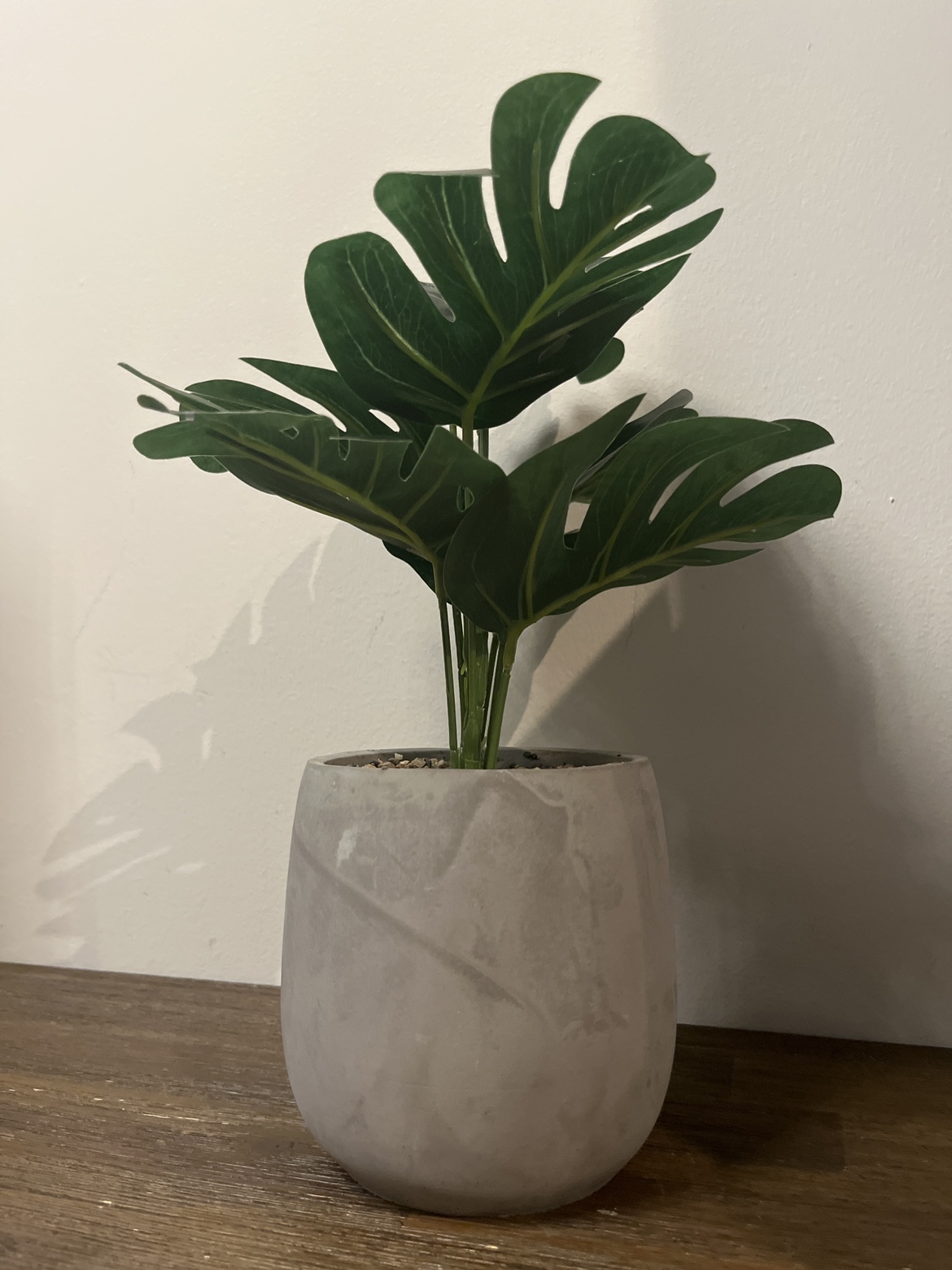 Faux Potted Monstera Plant 10” image indicator(3)