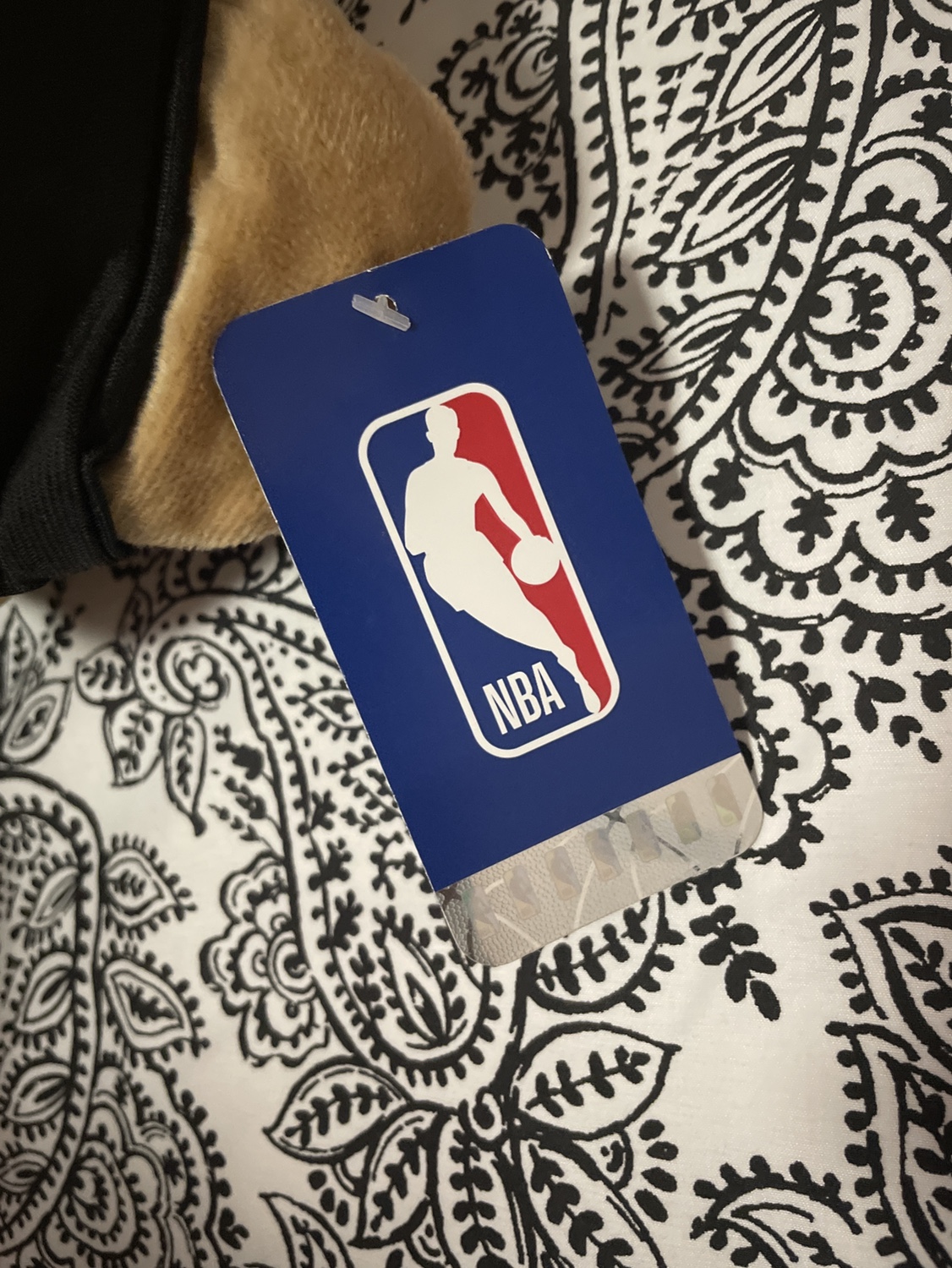 Raptors Mascot Bear - photo 2