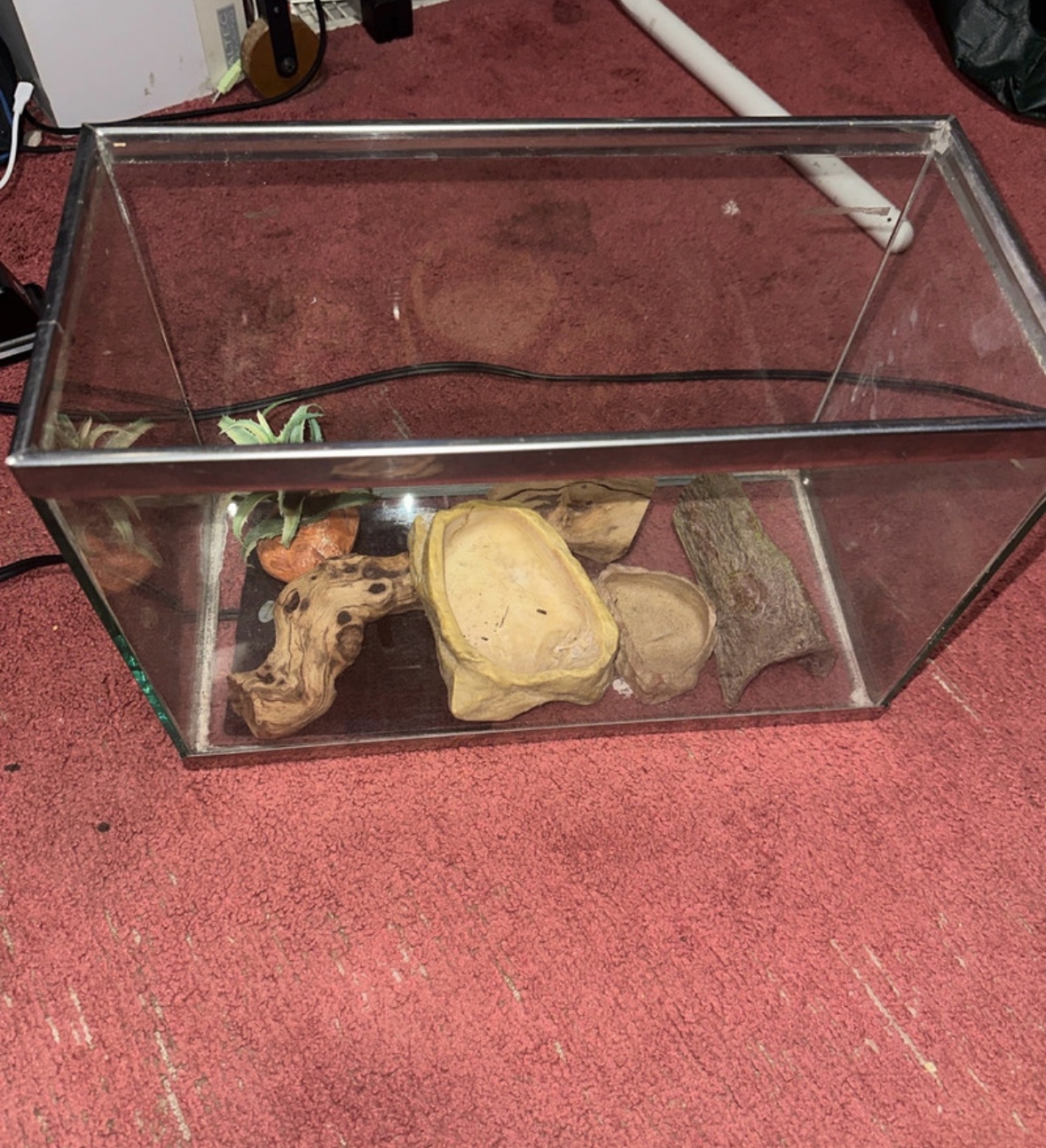 Glass Terrarium