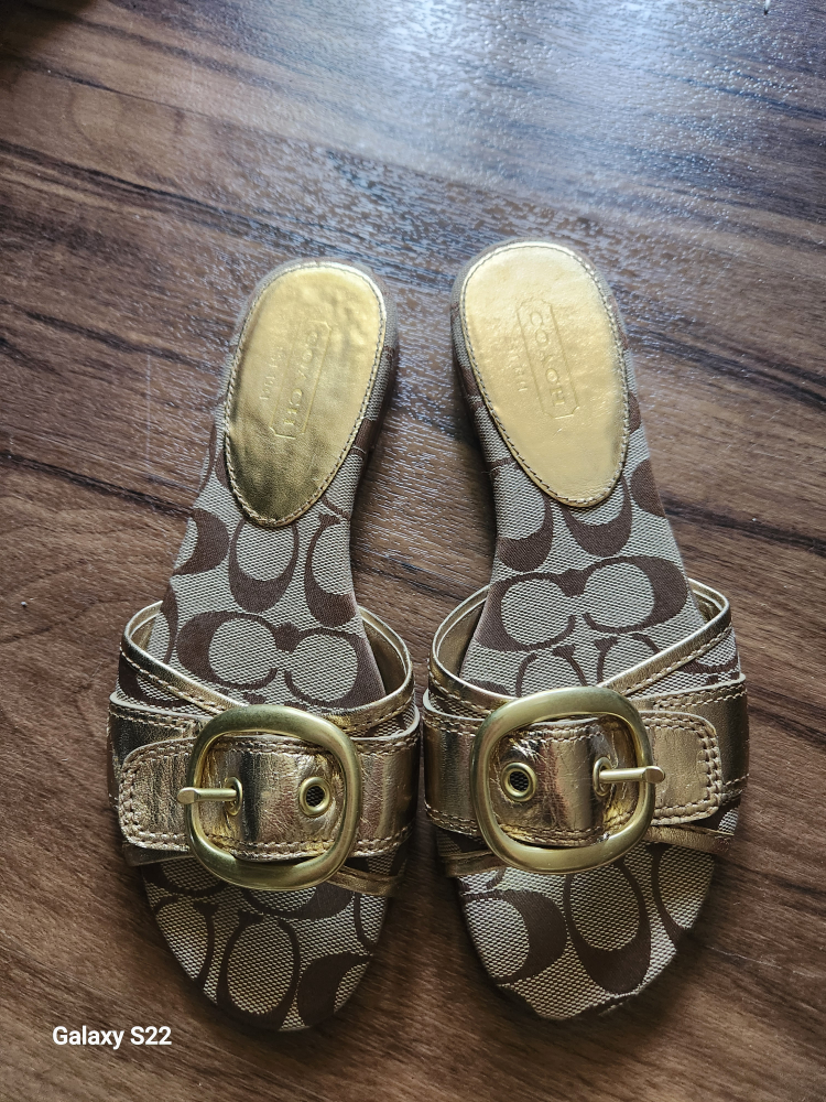 Coach flats