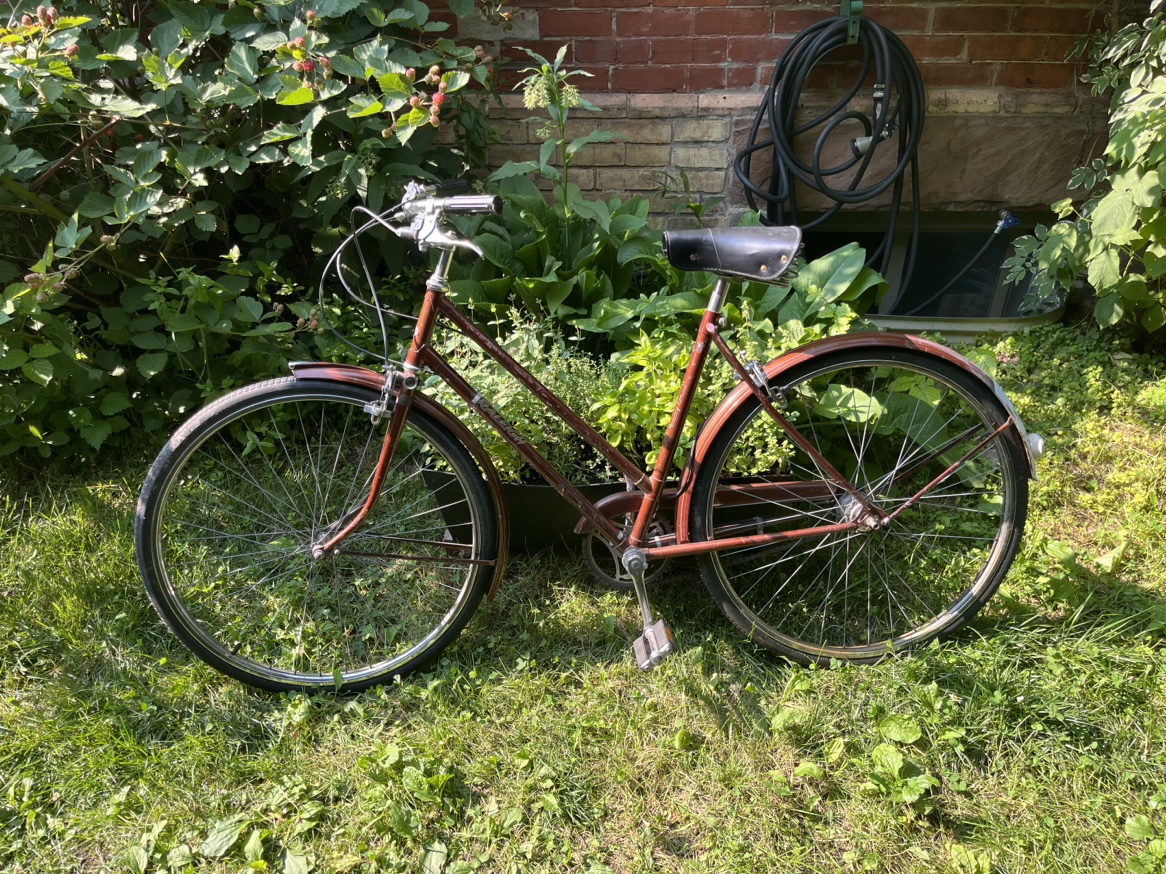 Raleigh women’s bike image indicator(4)