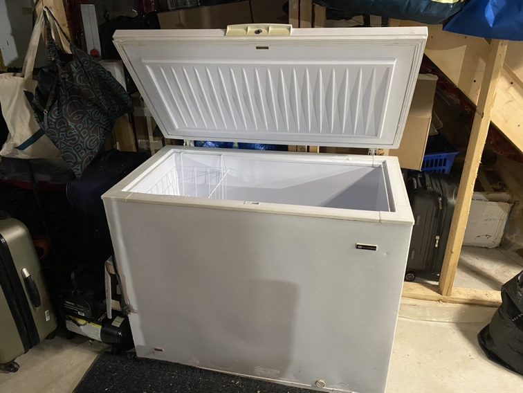 Chest Freezer