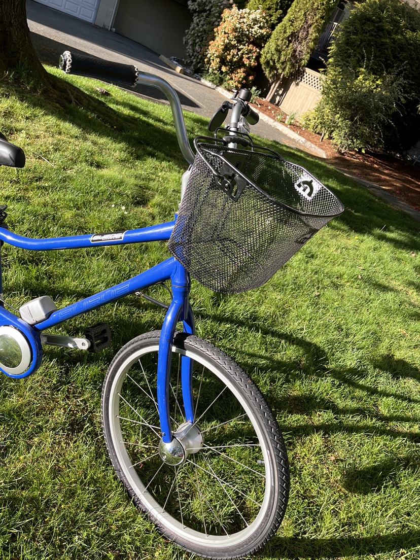 Giant Cruiser Bike - photo 3