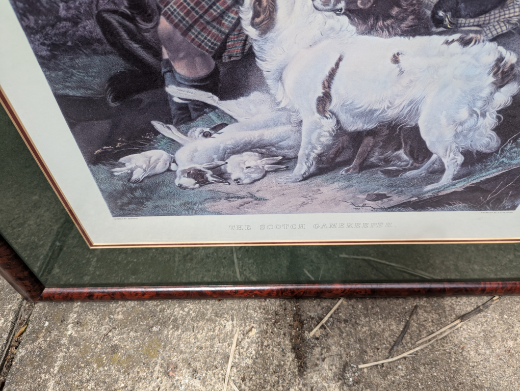 Scottish pictures - photo 2