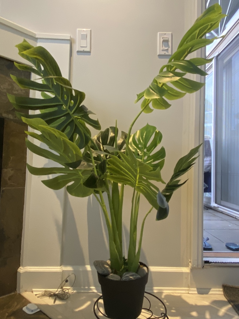 Artificial Monstera plant