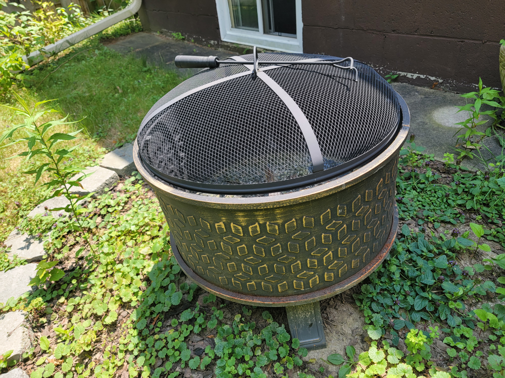 Hampton Bay Fireplace