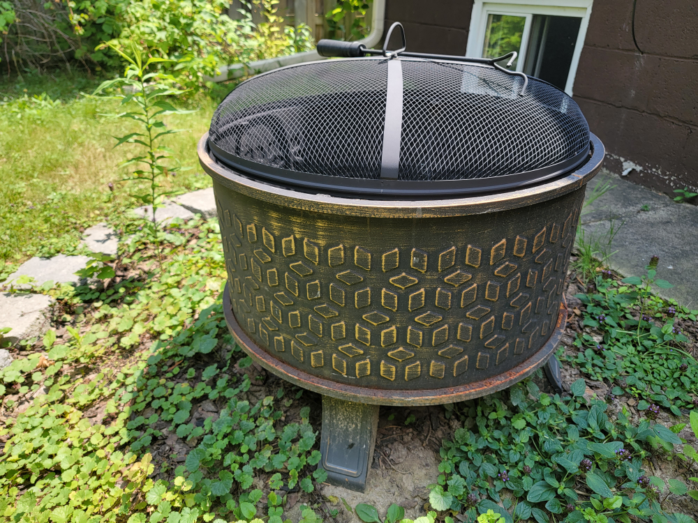 Hampton Bay Fireplace - photo 2