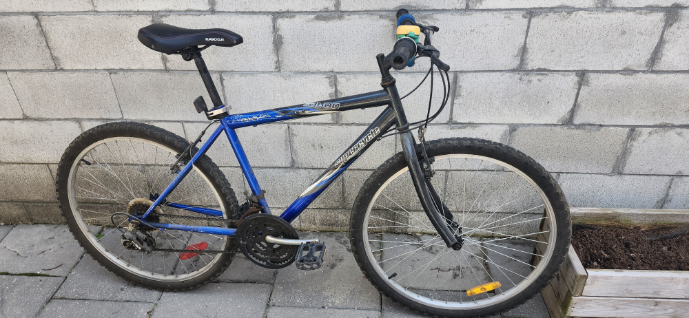 Adult Supercycle Bike - photo 4