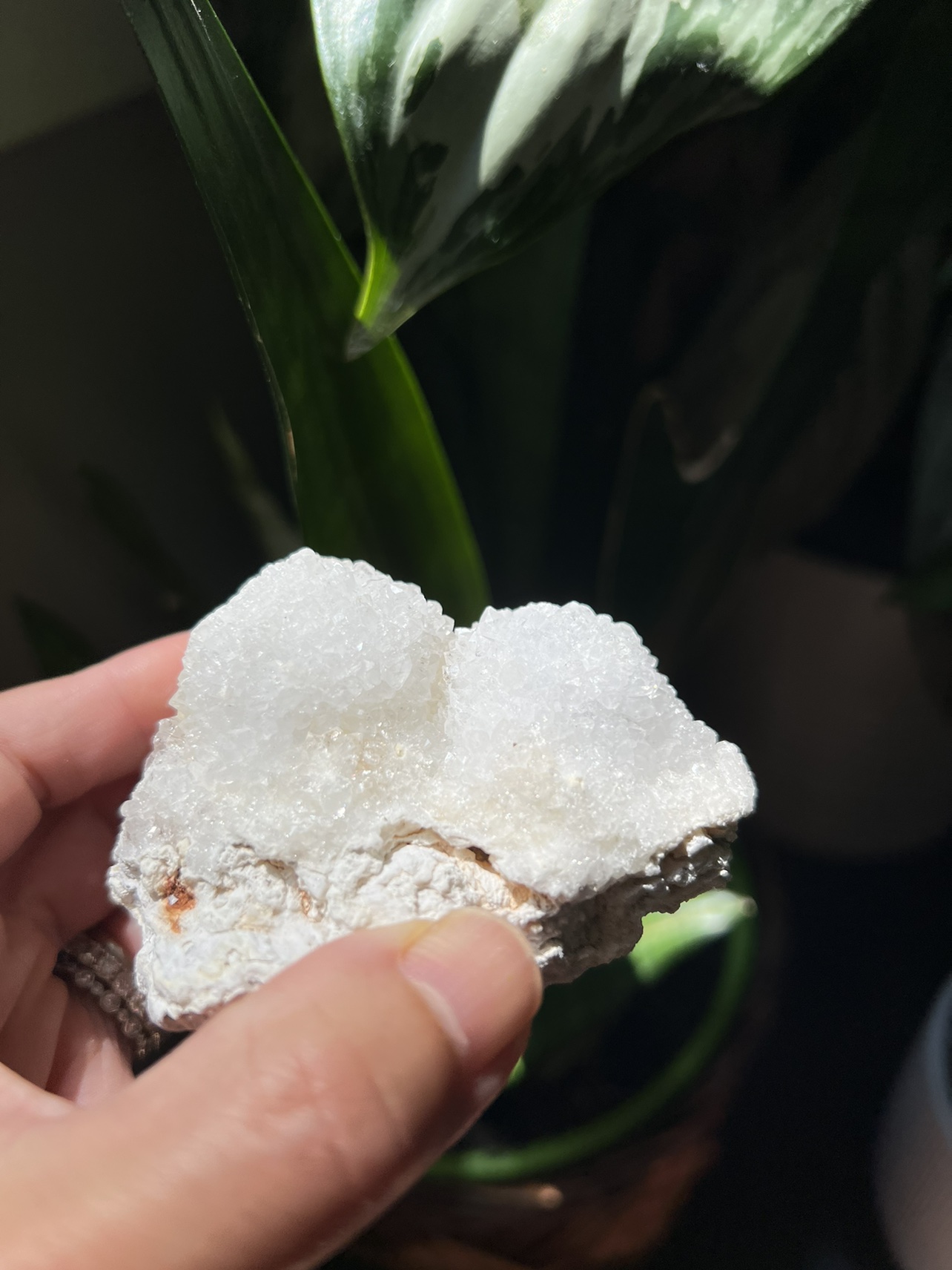 Clear quartz specimen (d) | crystal image indicator(3)