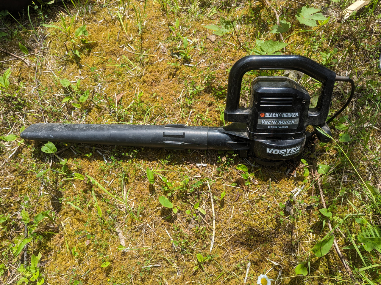 Leaf blower