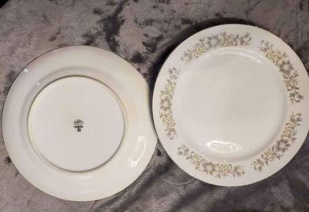 Premiere fine China Bluegrass pattern 1960s,12 piece Dishes - photo 2