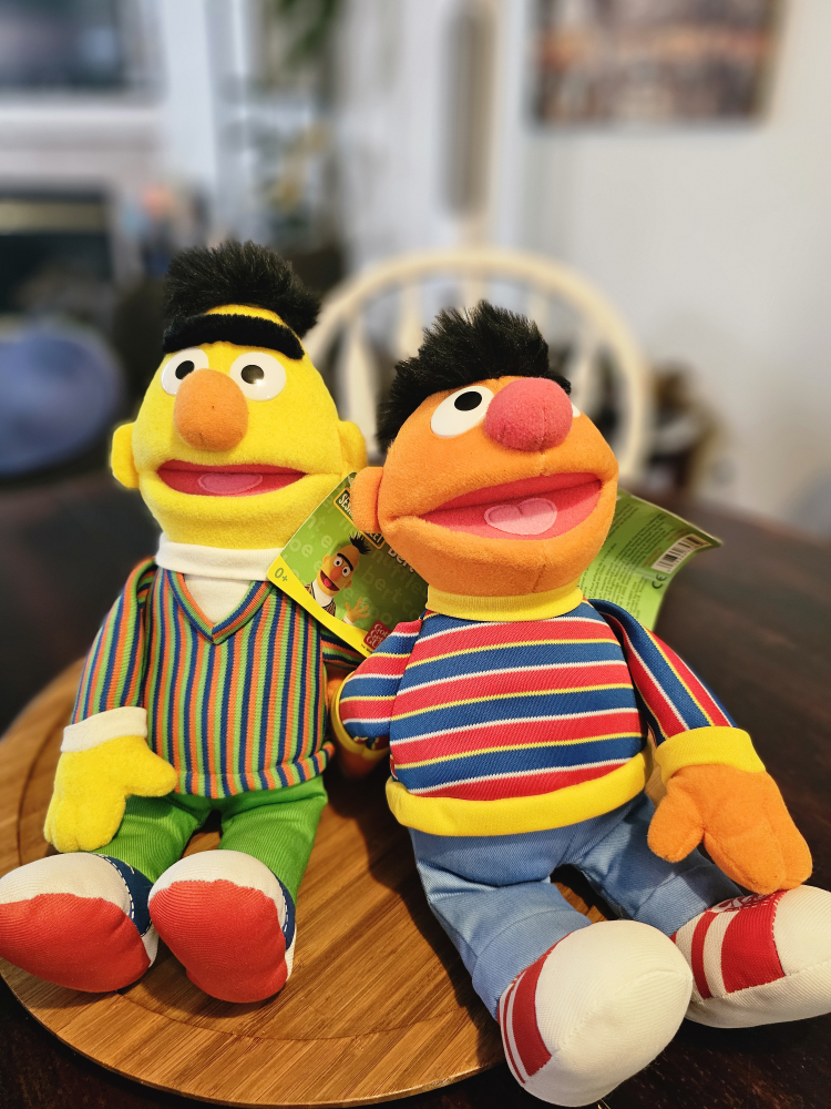 Sesame Street Plush Dolls