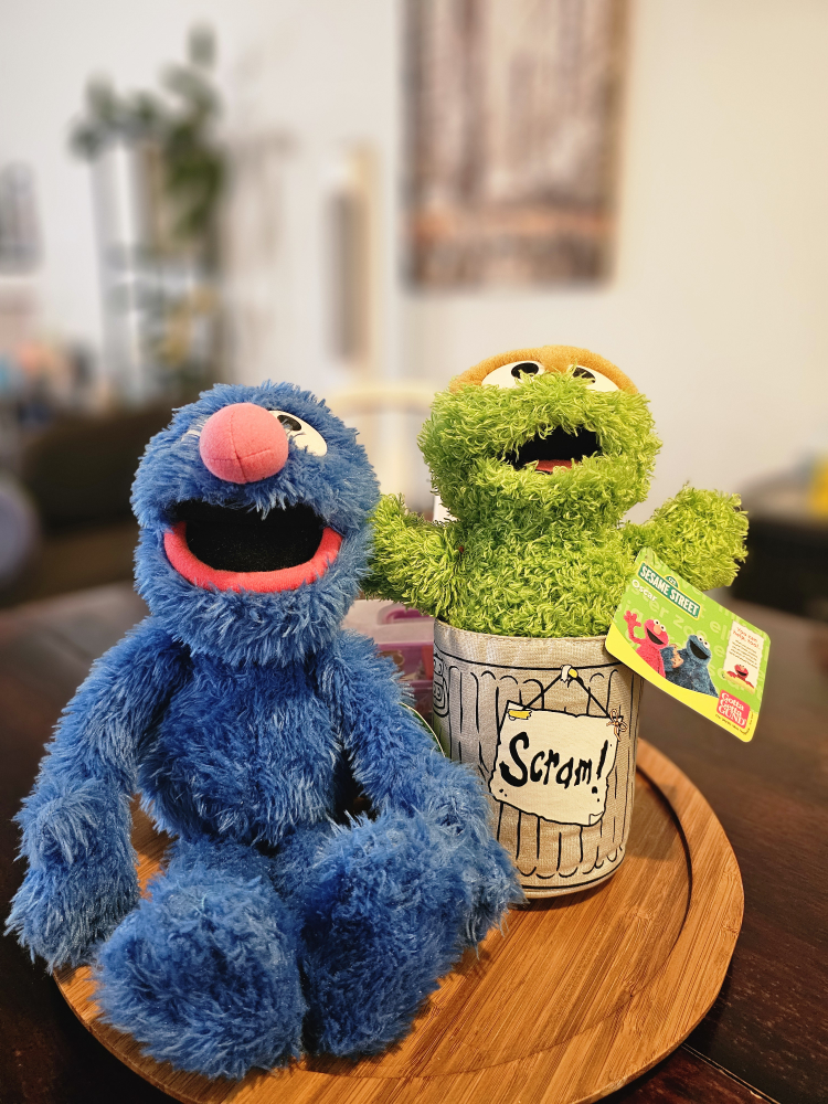 Sesame Street Plush Dolls - photo 2
