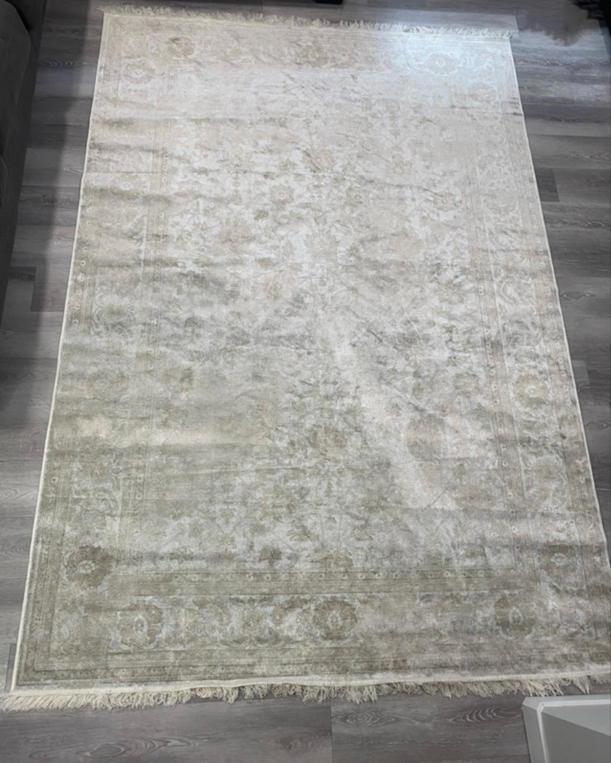 Brand New Area Rug - photo 2