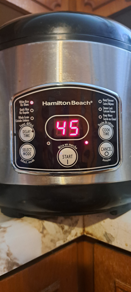Rice Cooker Hamilton Beach thumbnail