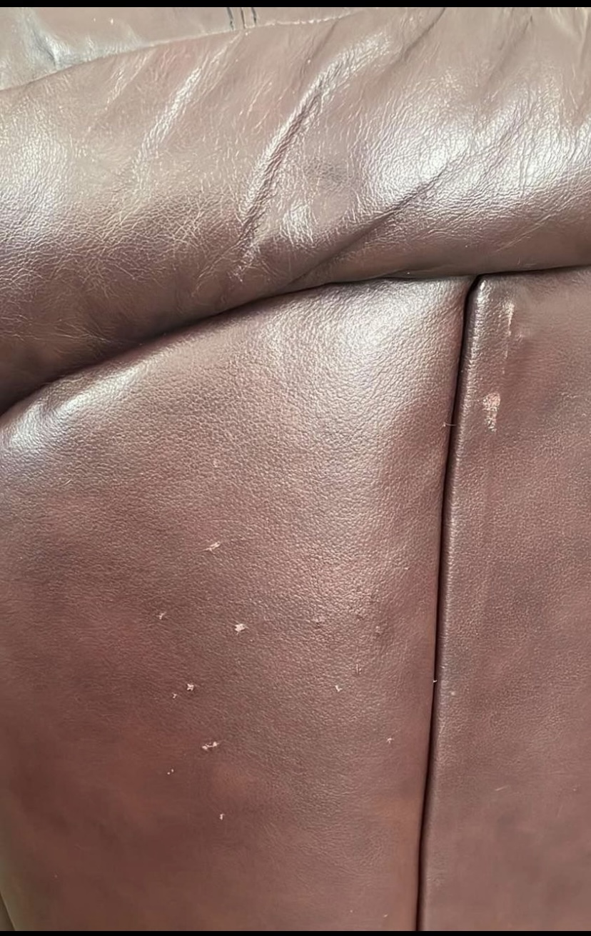 Couch and love seat - photo 4