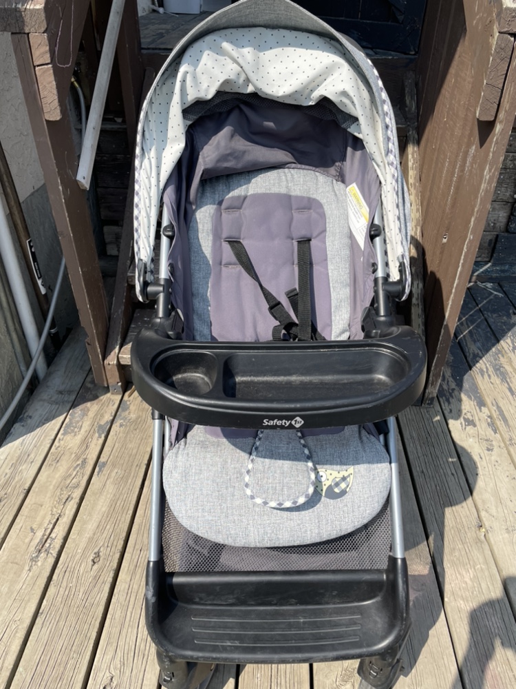 Newborn Stroller and Car Seat - photo 3