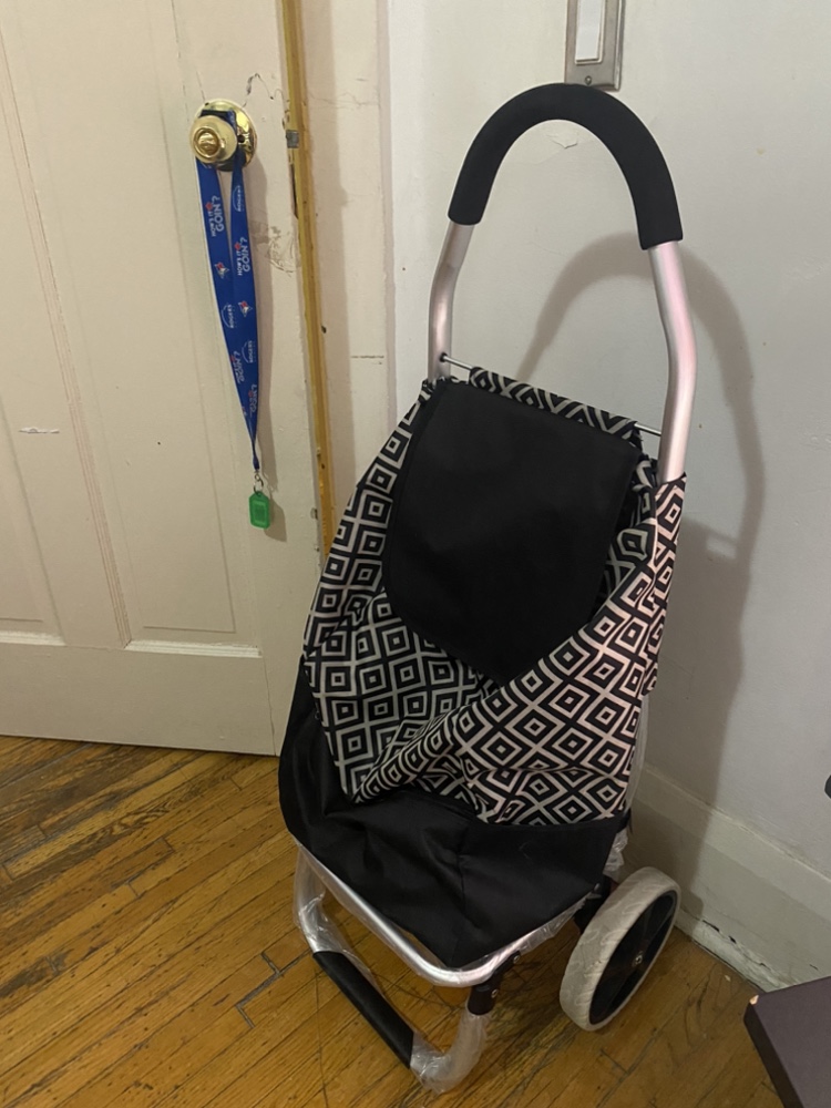 Folding Shopping Cart