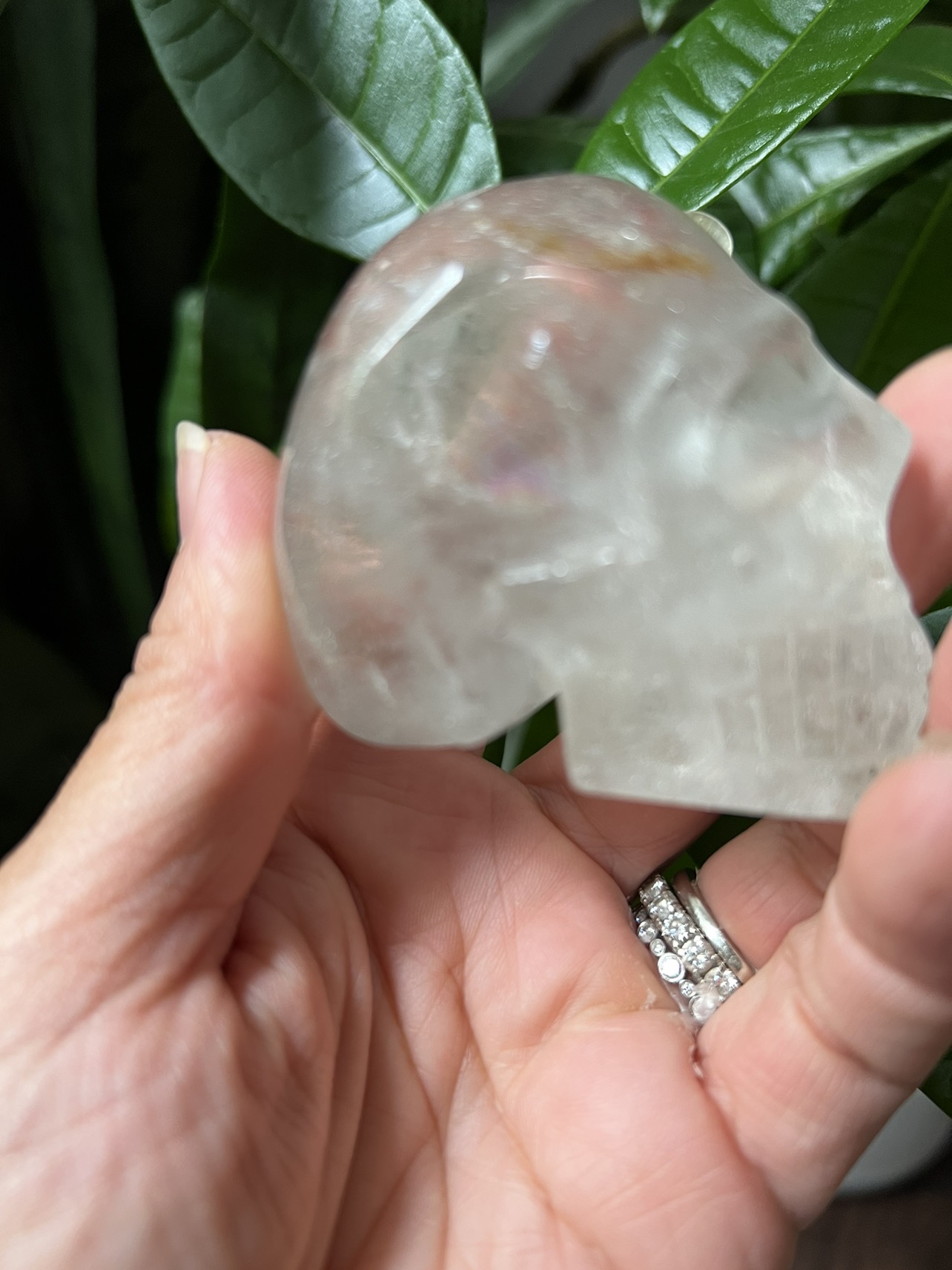 Garden quartz skull carving with minor chip (c) |  crystal - photo 3