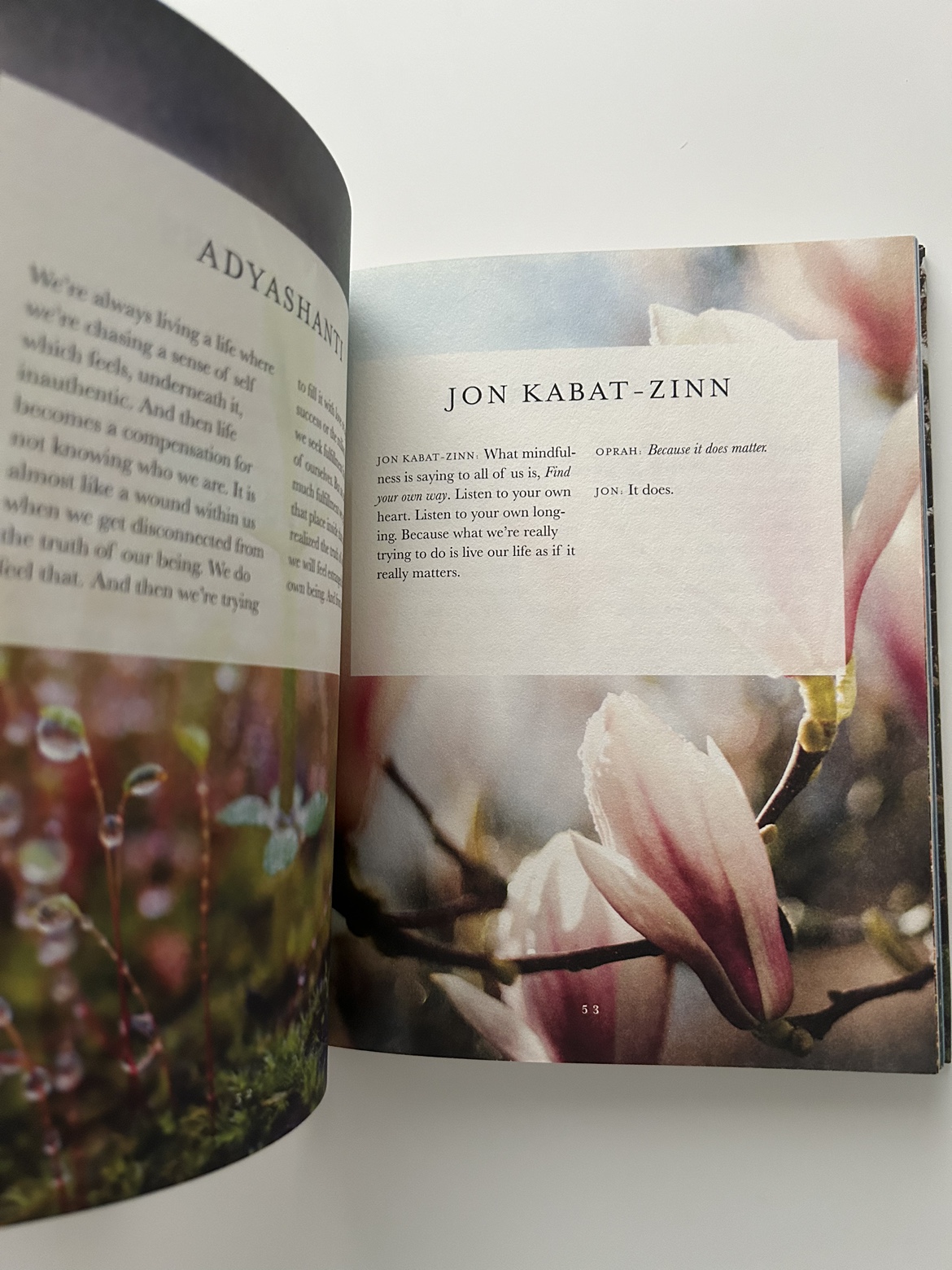 Oprah Winfrey books image indicator(3)