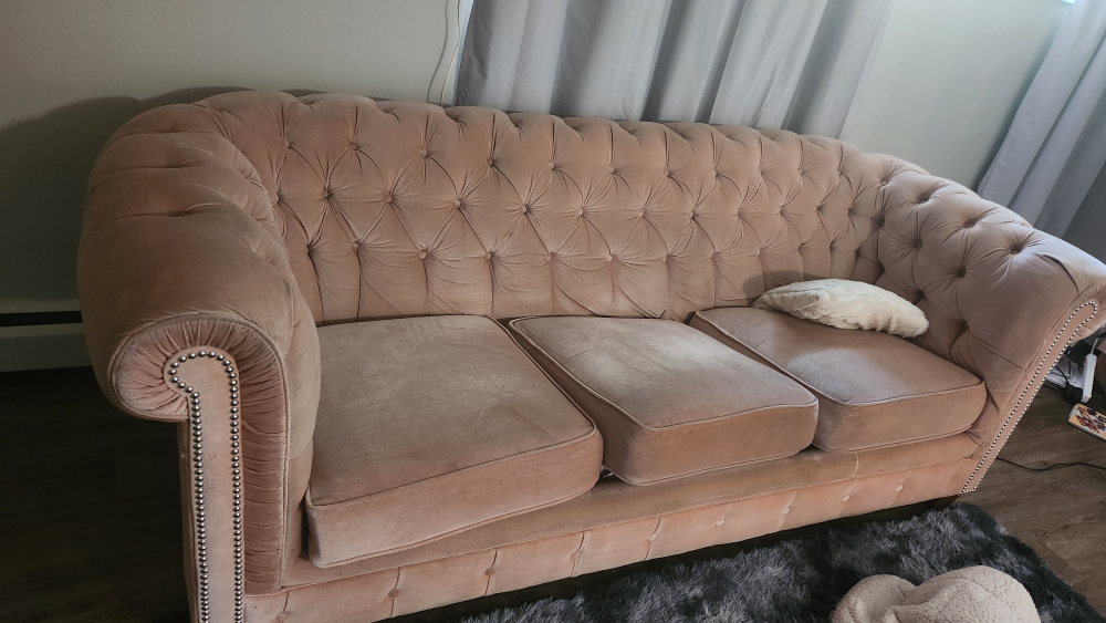 sofa/coach - photo 3