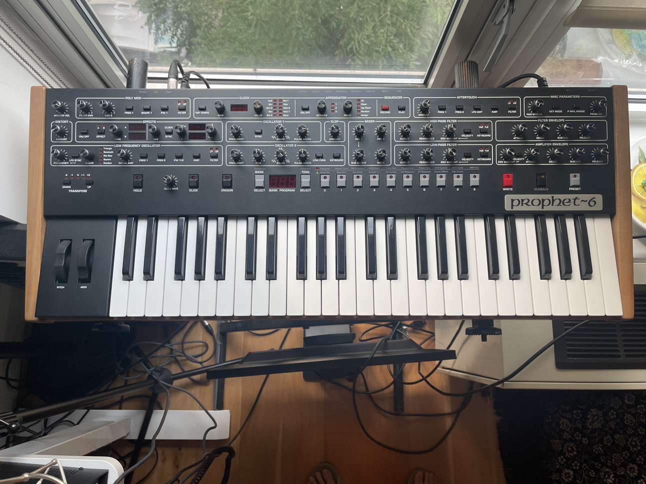 Prophet 6 Synthesizer ⚽️