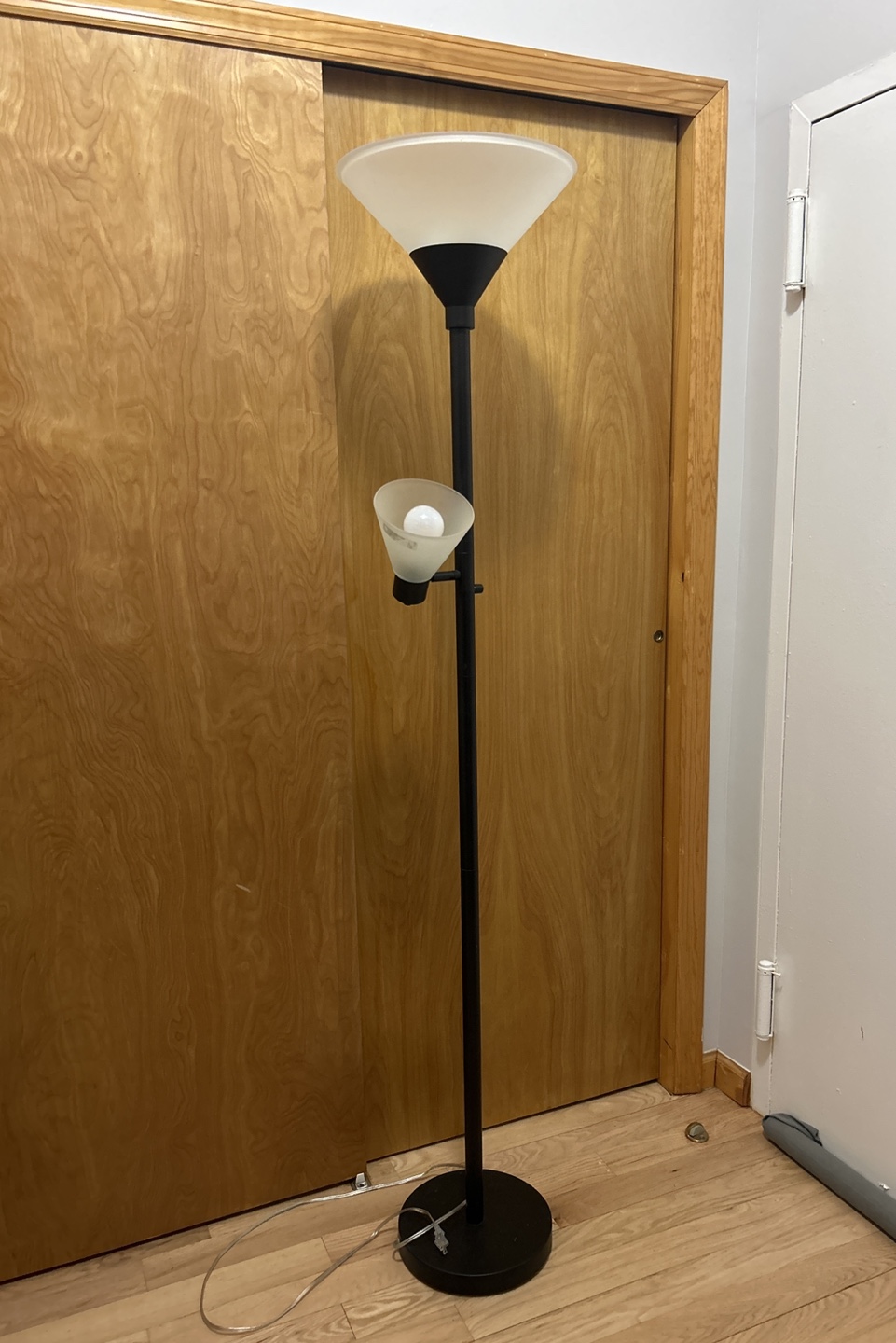 Modern Floor Lamp
