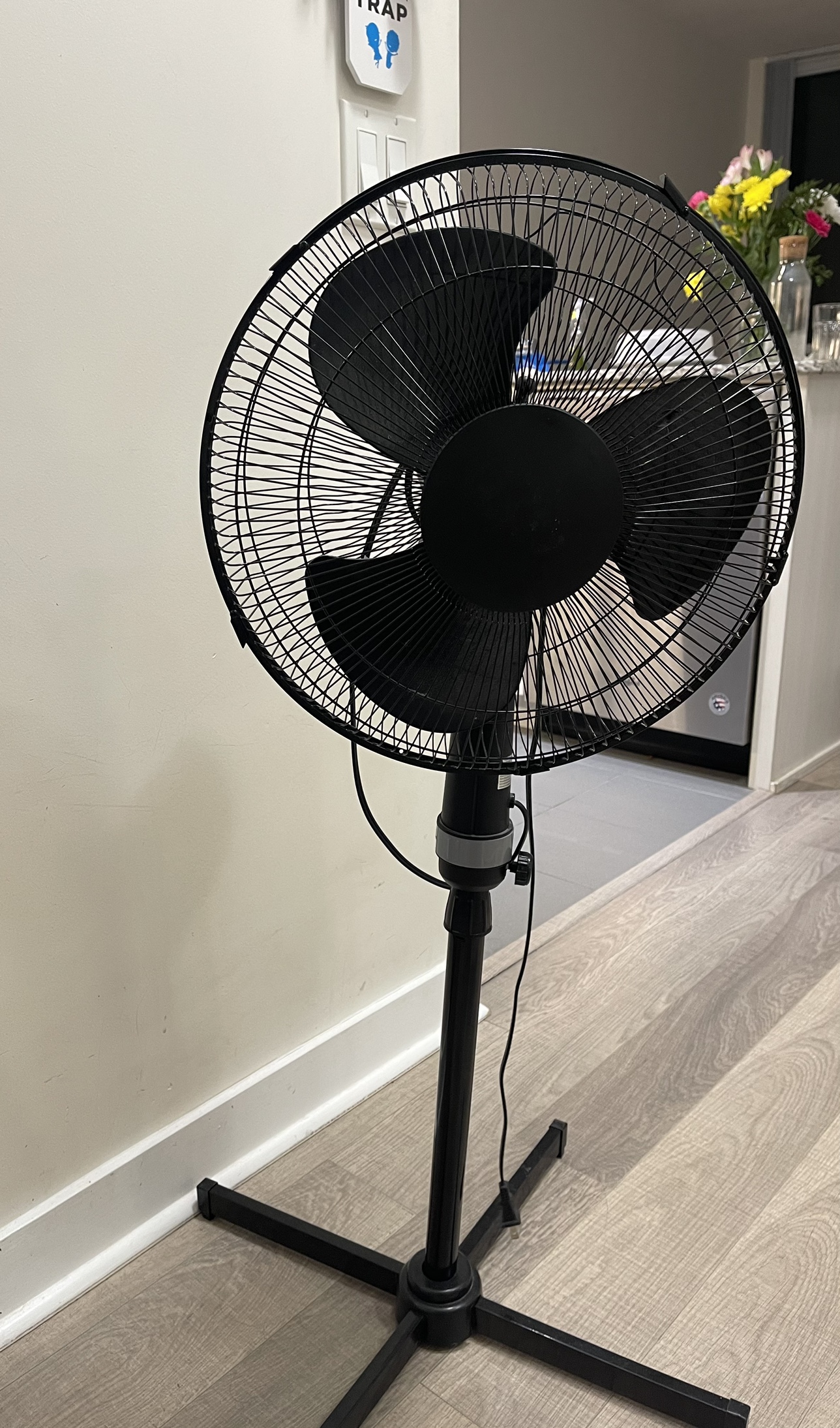 Pedestal Fan - photo 4