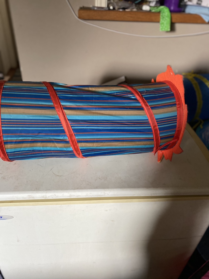 Cat tunnel #freecycle