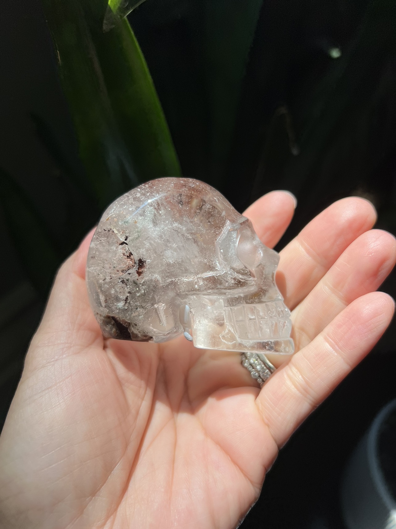 Garden quartz skull carving (J) | crystal image indicator(4)
