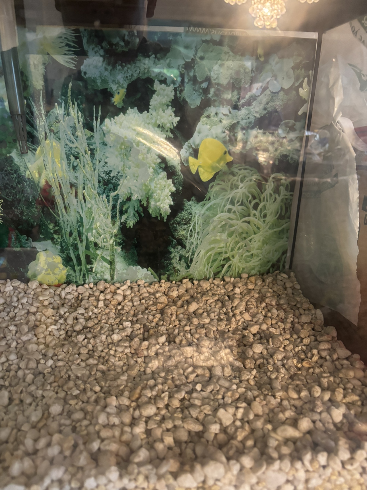 Hartz 20 gallon Fish tank image indicator(3)