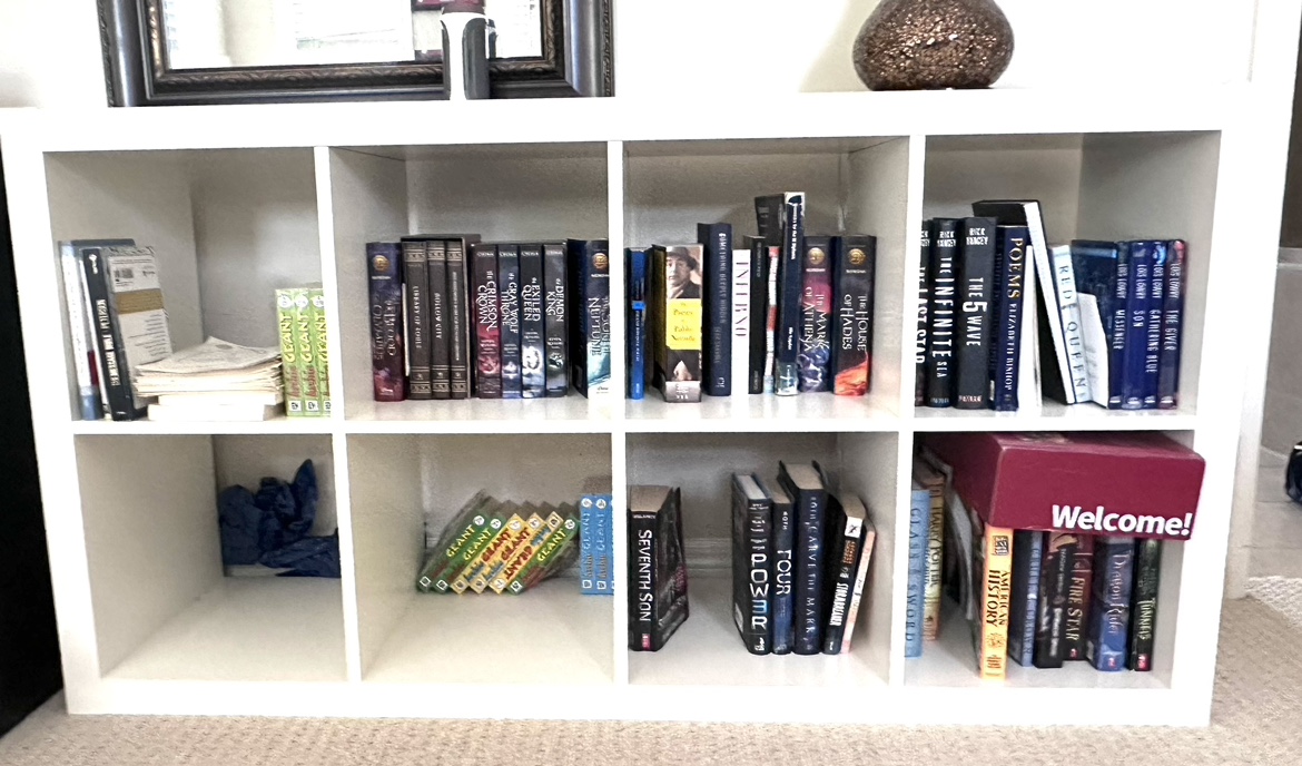 KALLAX Ikea Bookshelf