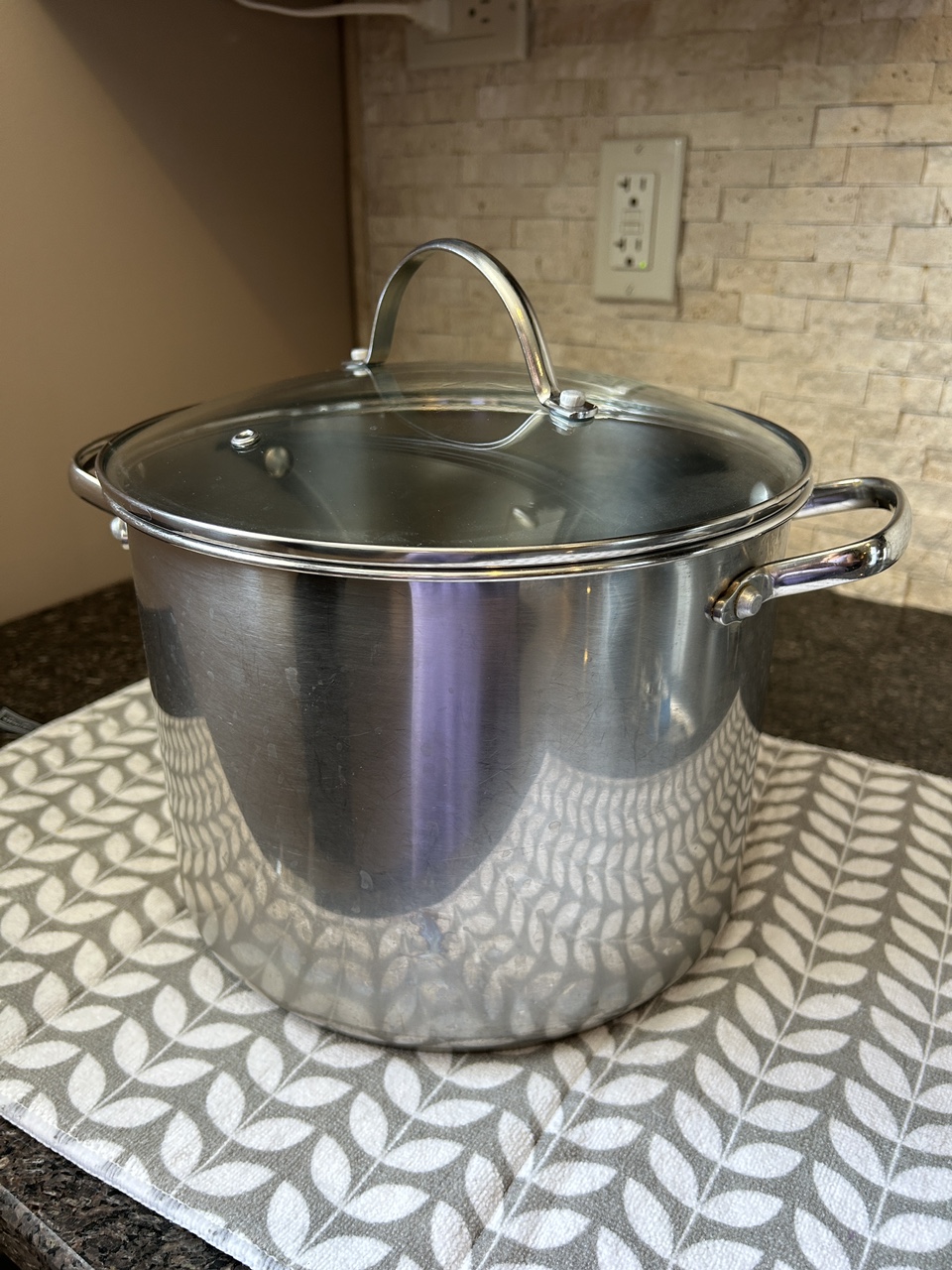 8 quart stainless steel pot