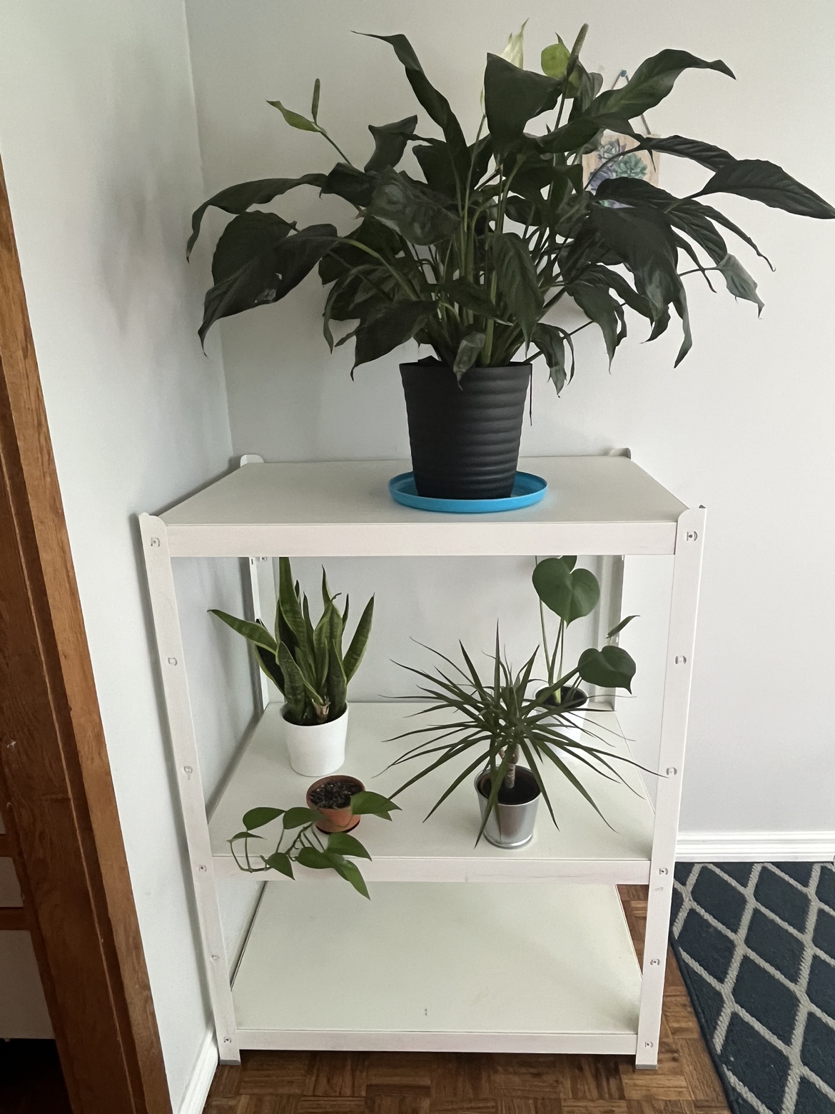 Ikea metal shelf