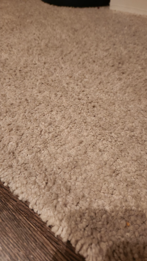 Large White Rug image indicator(2)