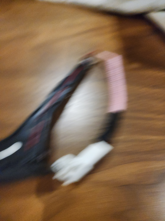 Toyota/Lexus Rear Door Open/Close Batton image indicator(2)