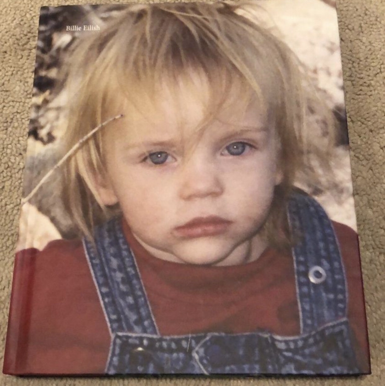 Billie Eilish book