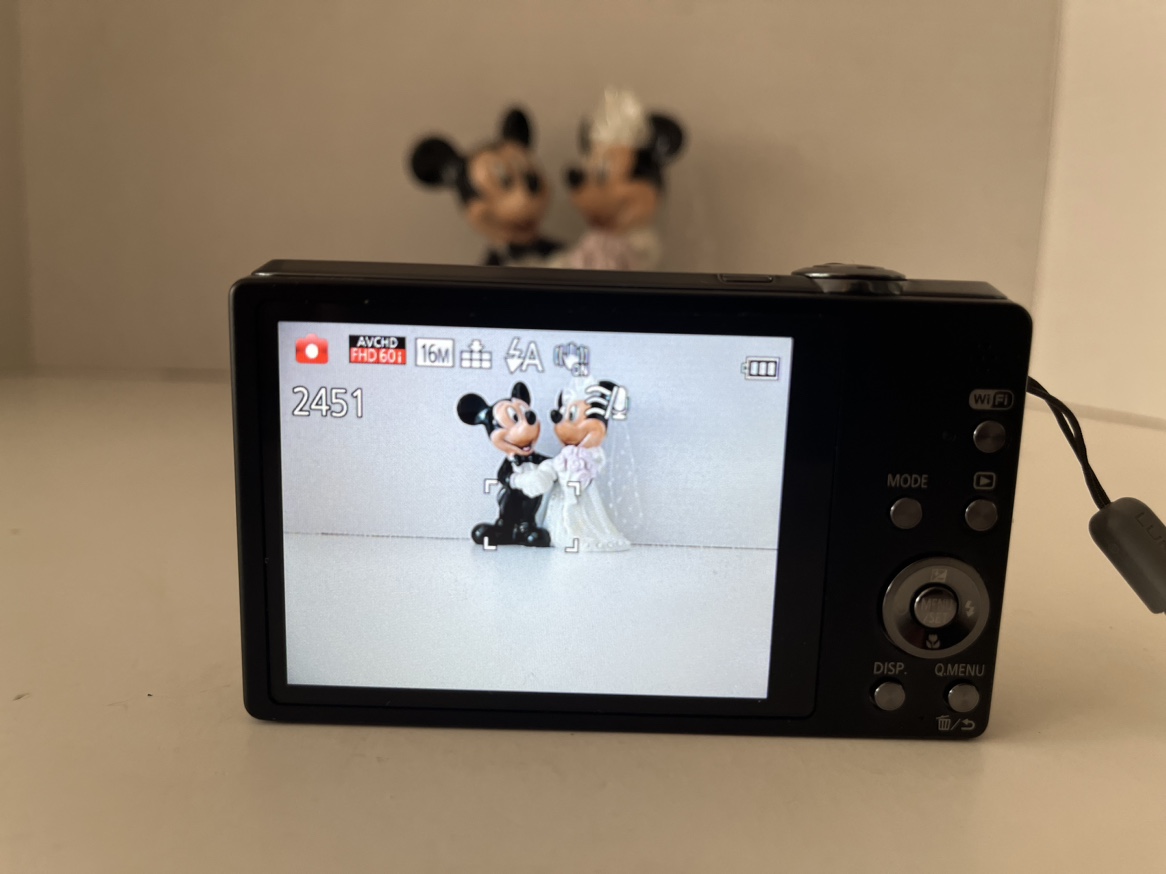 📷 Panasonic Lumix DMC-SZ9 Digital Camera - 16.1 MP mp - photo 3