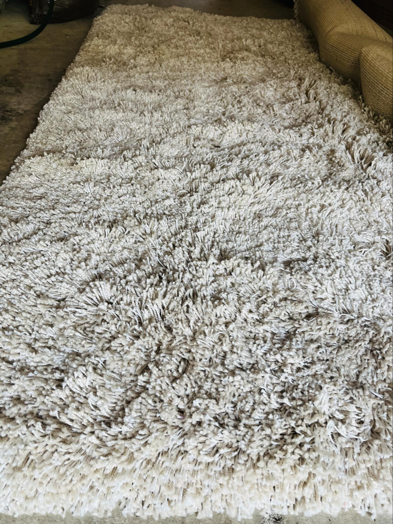 Carpet/area rug