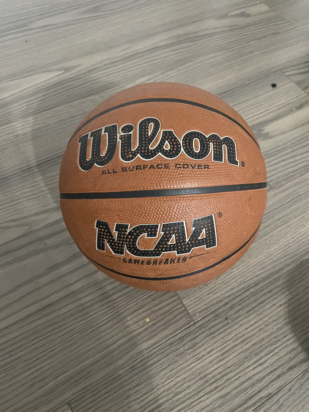 Moving sale Basket ball #freecycle