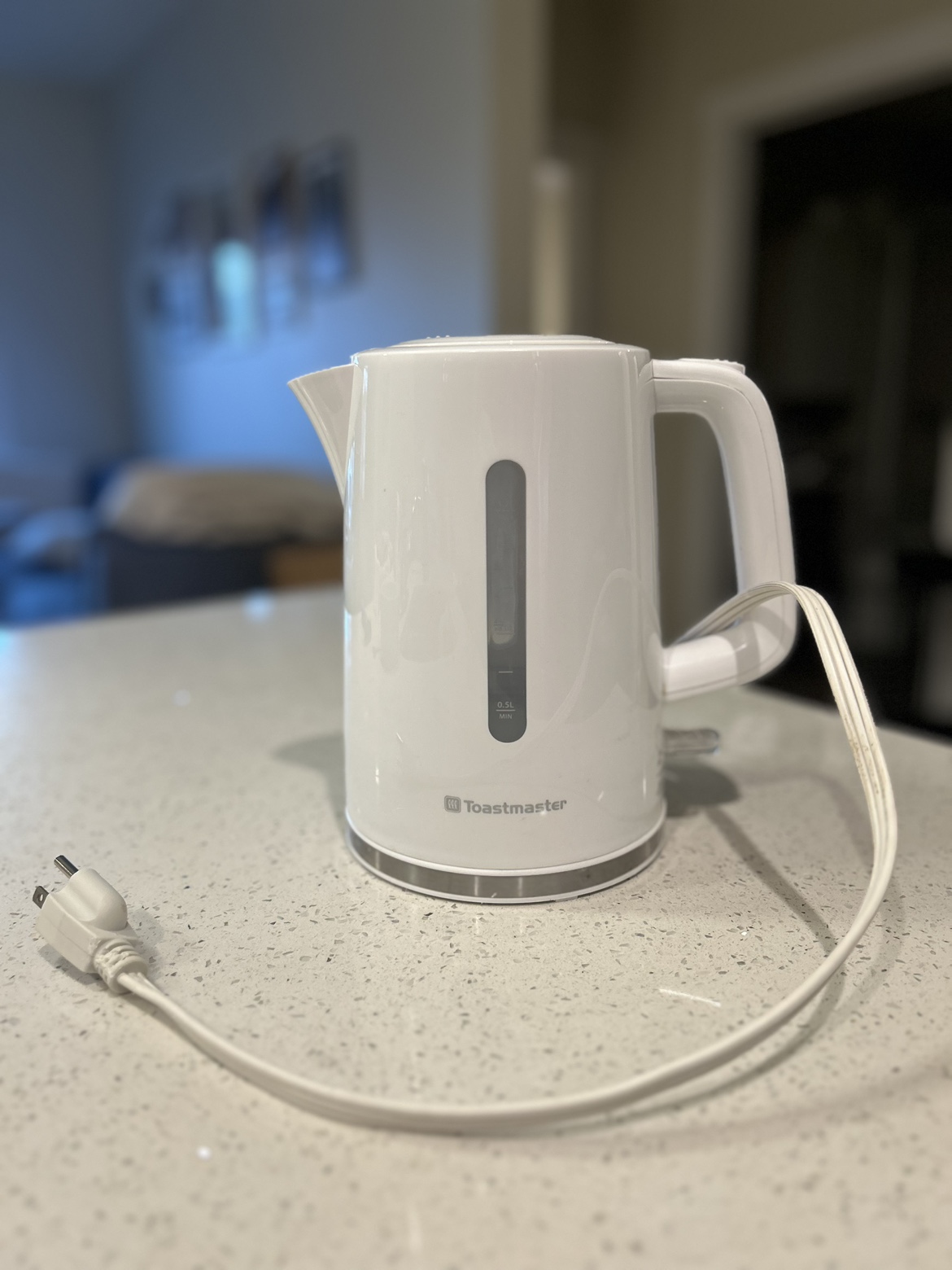 Electric Kettle