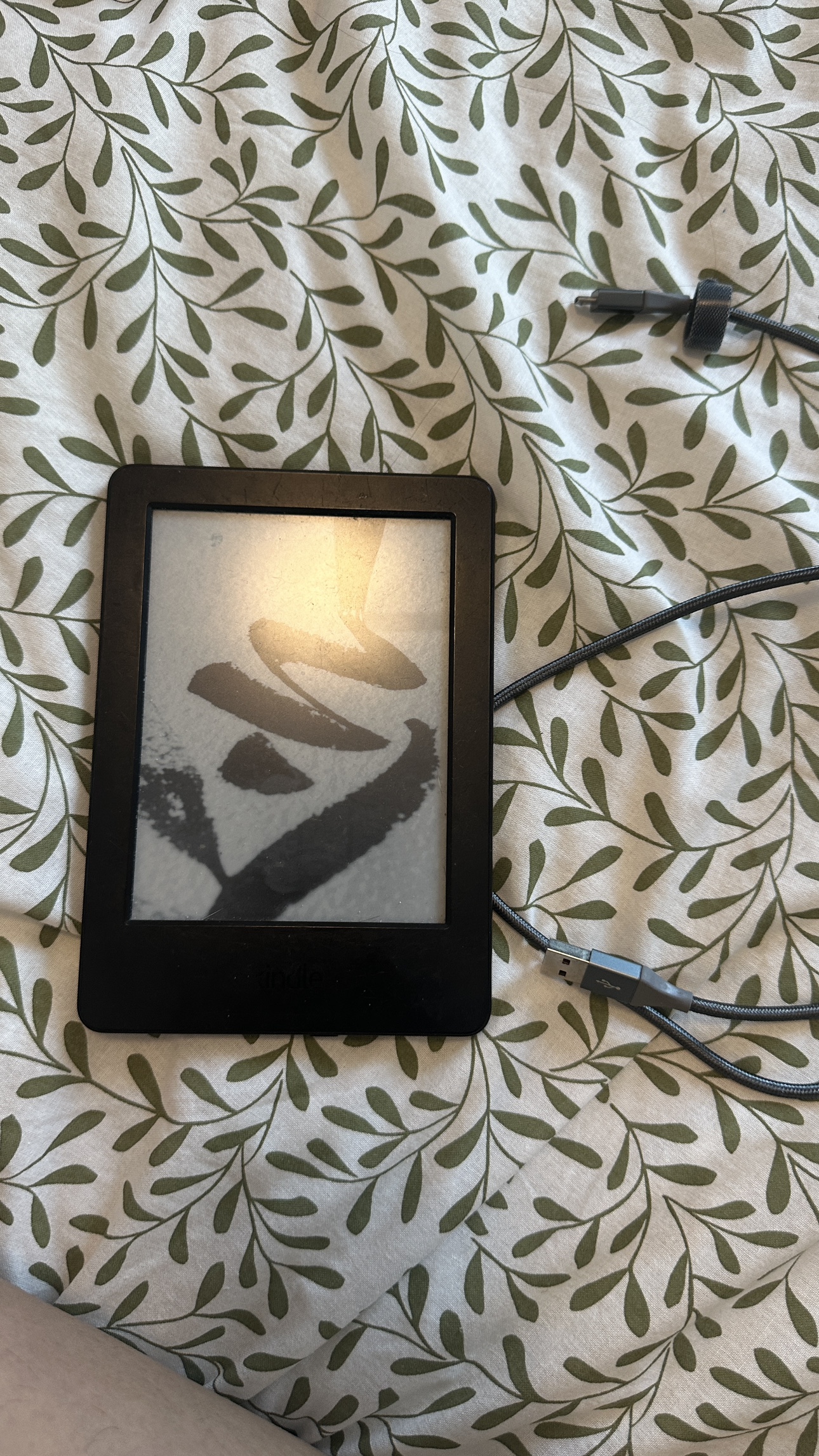 Kindle - photo 3