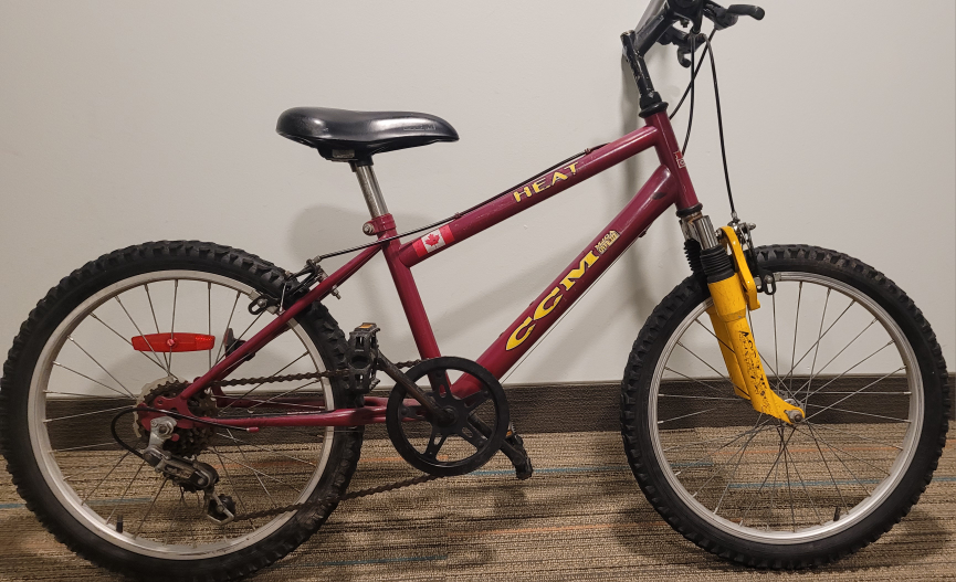Kids bike 20" 6-11 year old EUC thumbnail